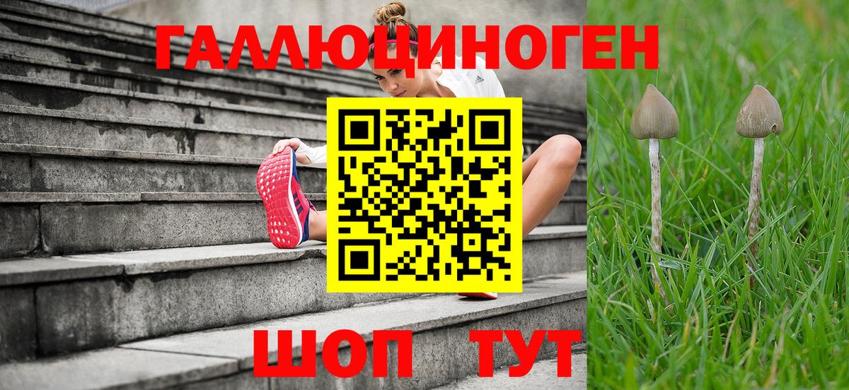 Нягань  Галлюциногенные грибы Magic Shrooms  Вход с VPN 