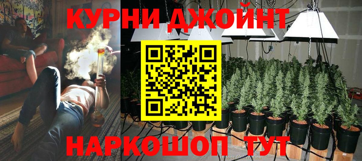 Каннабис сатива Нягань